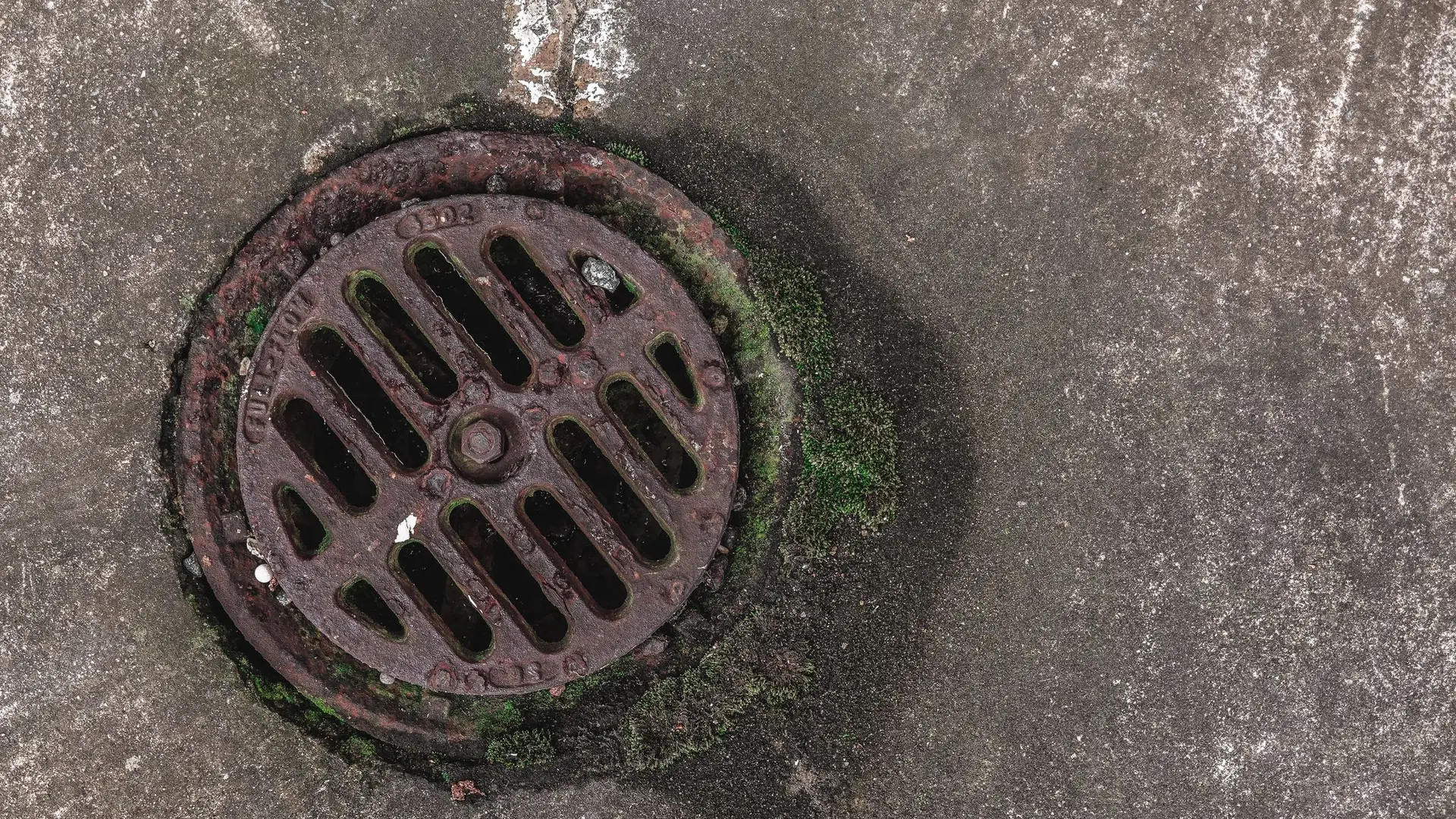 A round cast iron drain cover set into concrete